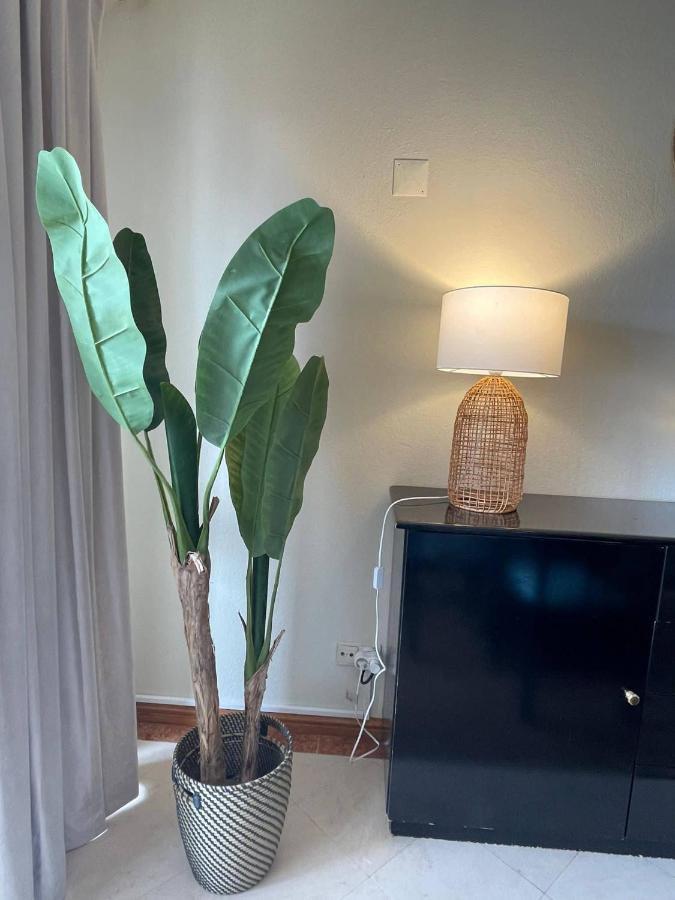Title E Title - Oura Apartament אלבופיירה מראה חיצוני תמונה